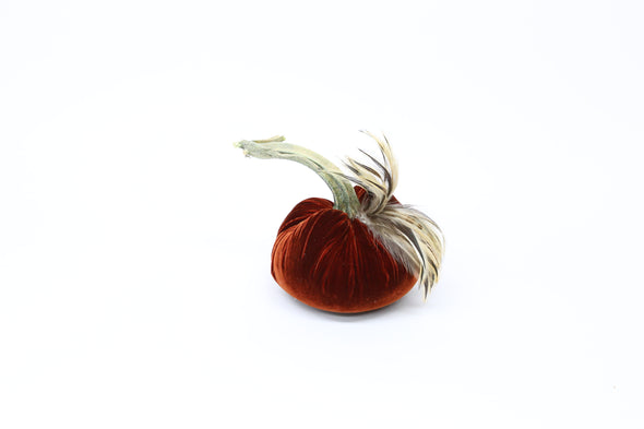 6" Velvet Pumpkin with Feathers - New Color Options!