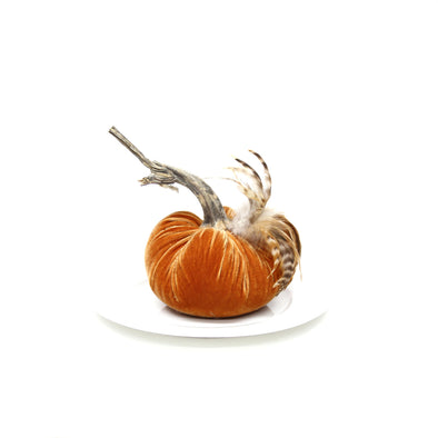 5" Velvet Pumpkin with Feathers - New Color Options!