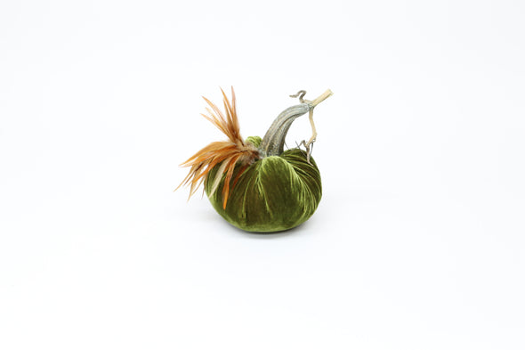 4" Velvet Pumpkin with Feathers - New Color Options!
