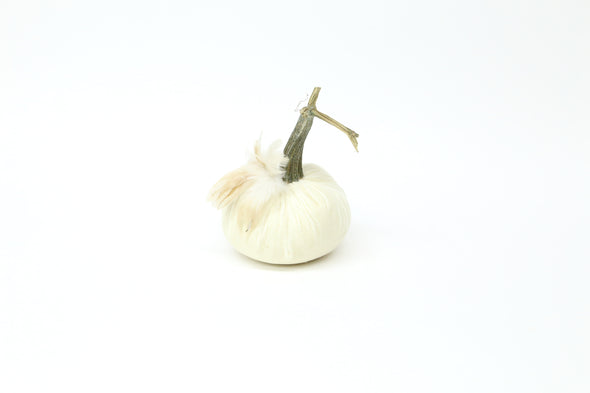 6" Velvet Pumpkin with Feathers - New Color Options!