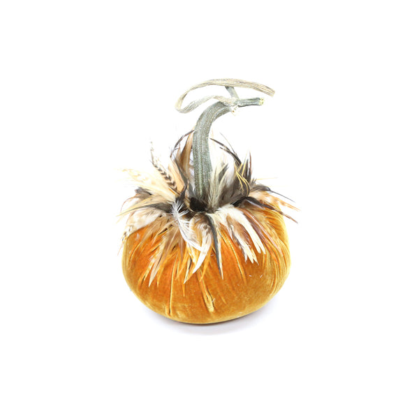 D'or Velvet Pumpkin with Ginger Saddle Feathers
