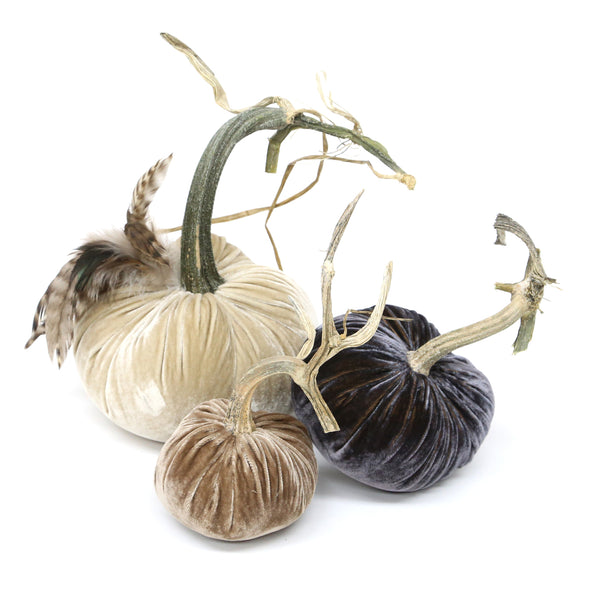 Velvet Pumpkin Trio with Feathers - Natural