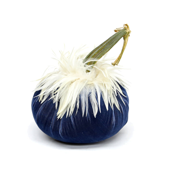 Sapphire  Velvet Pumpkin with White Ginger Saddle Feathers