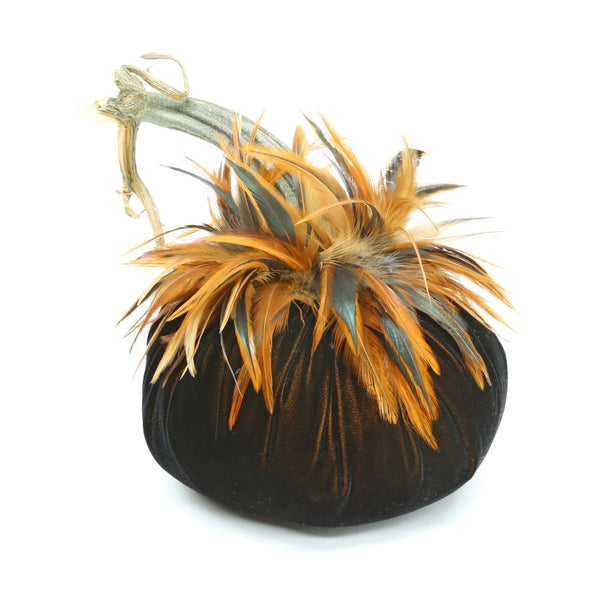 Black Gold Velvet Pumpkin with Furnace Feathers