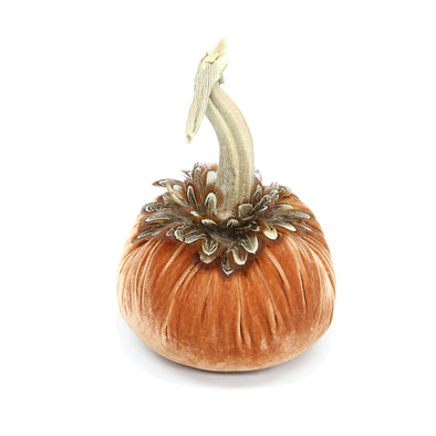 Spice Velvet Pumpkin with Pheasant Feathers