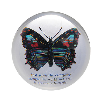 Set of 2 Butterfly Paperweight