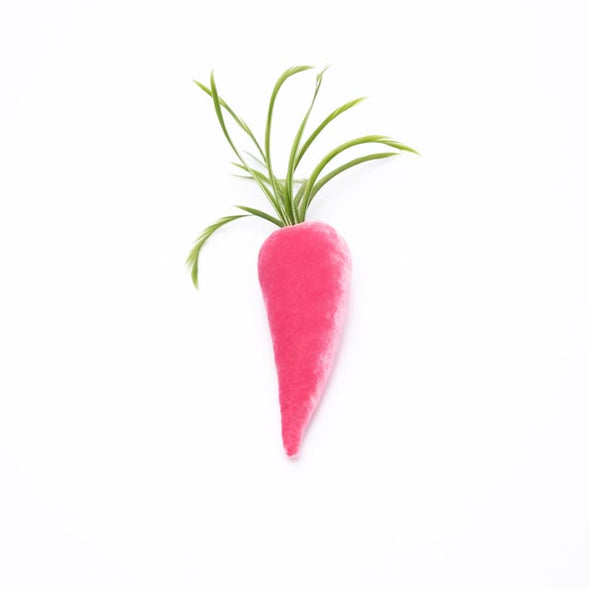 Velvet Carrot - Bubblegum