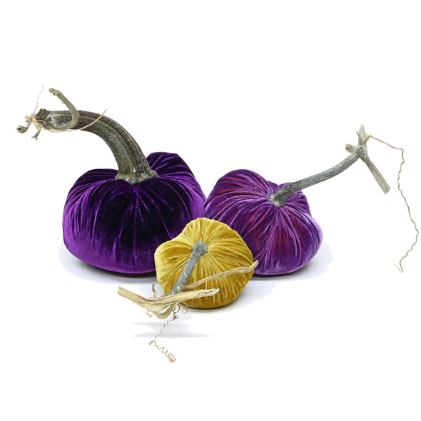 Velvet Pumpkin Trio - Viking Purple