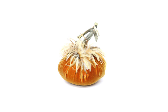 Special 5" Persimmon Velvet Pumpkin with Feather Collar
